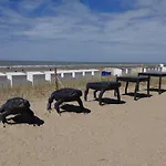 Апартаменты Beachview Westende Миделкерк